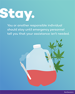 stay graphic