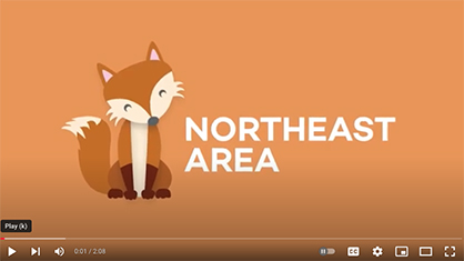 northeast area video